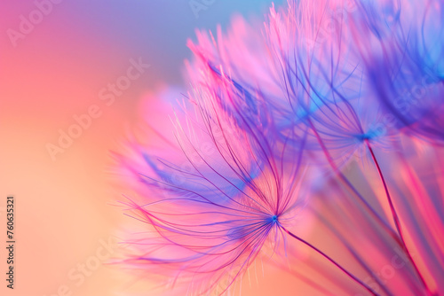 Colorful pastel background  Vivid color abstract dandelion flower  extreme closeup with soft focus  beautiful nature details  very shallow depth of field  Generative AI.