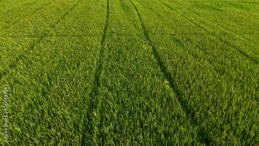 Aerial photography drone countryside agriculture and forest Aerial photography drone countryside agriculture and forest