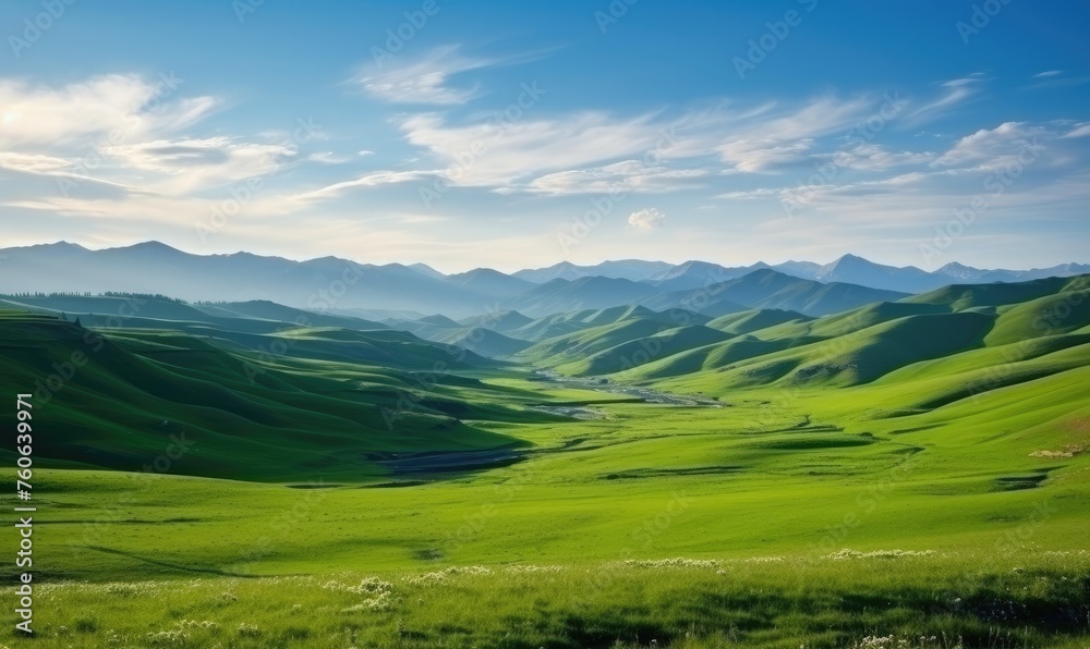 Naklejka premium landscape with rolling hills and meadows