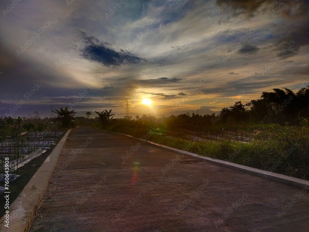 Fototapeta premium street in the morning at sunrise with rice fields