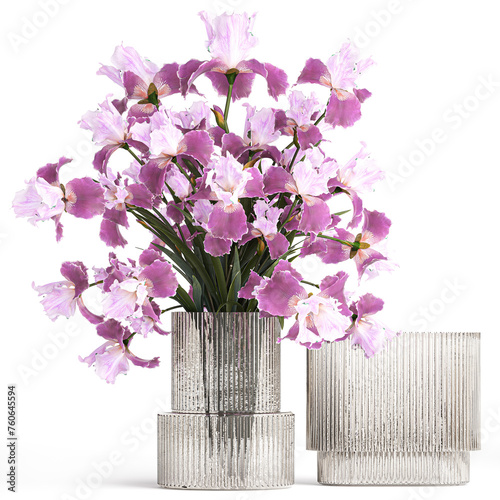  Solemn bouquet of purple Iris flowers in a glass vase isolated on white background
