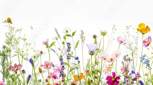   A colourful artwork with a variety of wildflowers arranged in a kaleidoscope pattern on a blank canvas