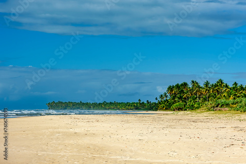Paradisiacal beach surrounded by coconut trees in Serra Grande on the south coast of Bahia