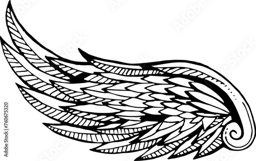 Wing sketch. Decorative ornate bird feathers drawing