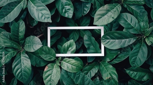 Creative layout, green leaves with white square frame, flat lay. 