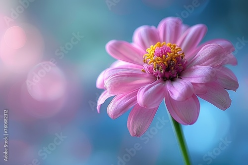 A close-up photo of a vibrant pink wildflower with a yellow center  set against a clear blue sky