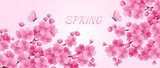 Spring vector illustration, sakura branches and butterflies on a light background. Design for wallpaper, posters, banners, cards, print, web and packaging.