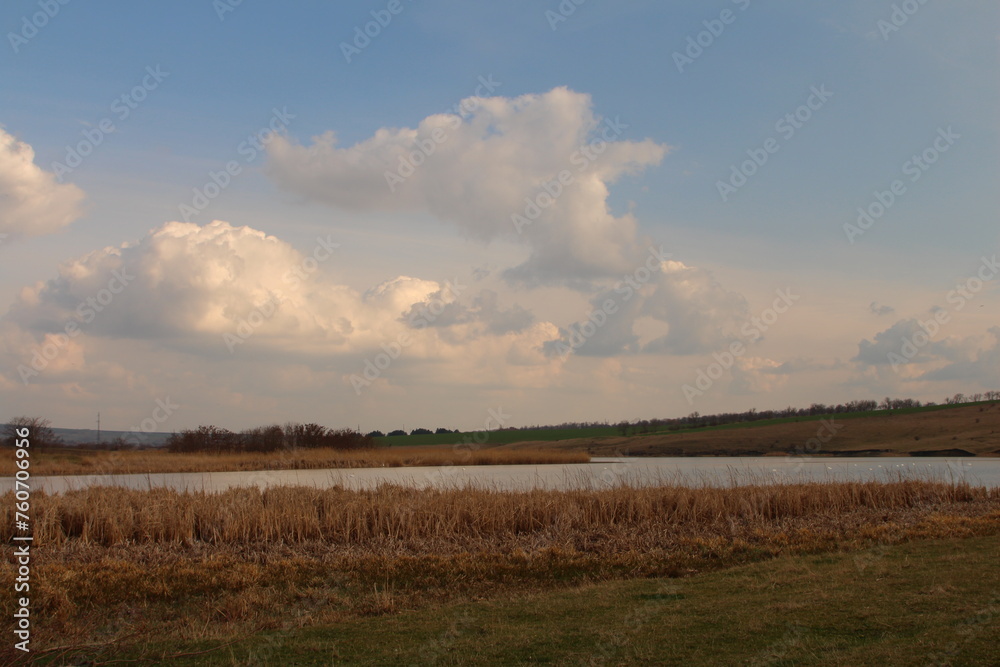A field with water and clouds
