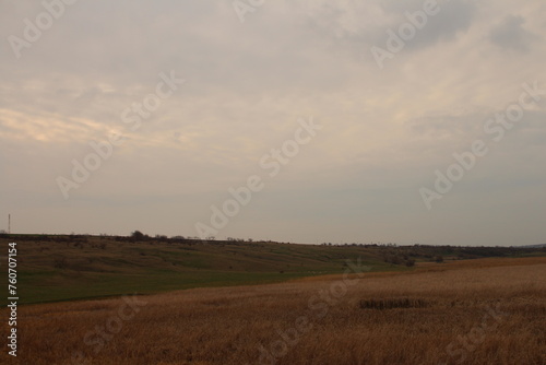A field with a field of grass and trees in the background