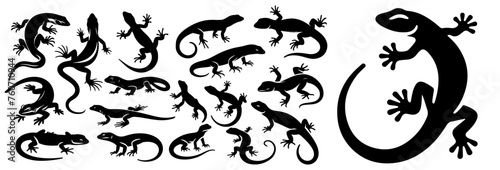 Explore the world of lizards with this set of silhouettes, featuring various types of lizards in dynamic poses including crawling, basking, and climbing. Each design emphasizes their elongated bodies, photo