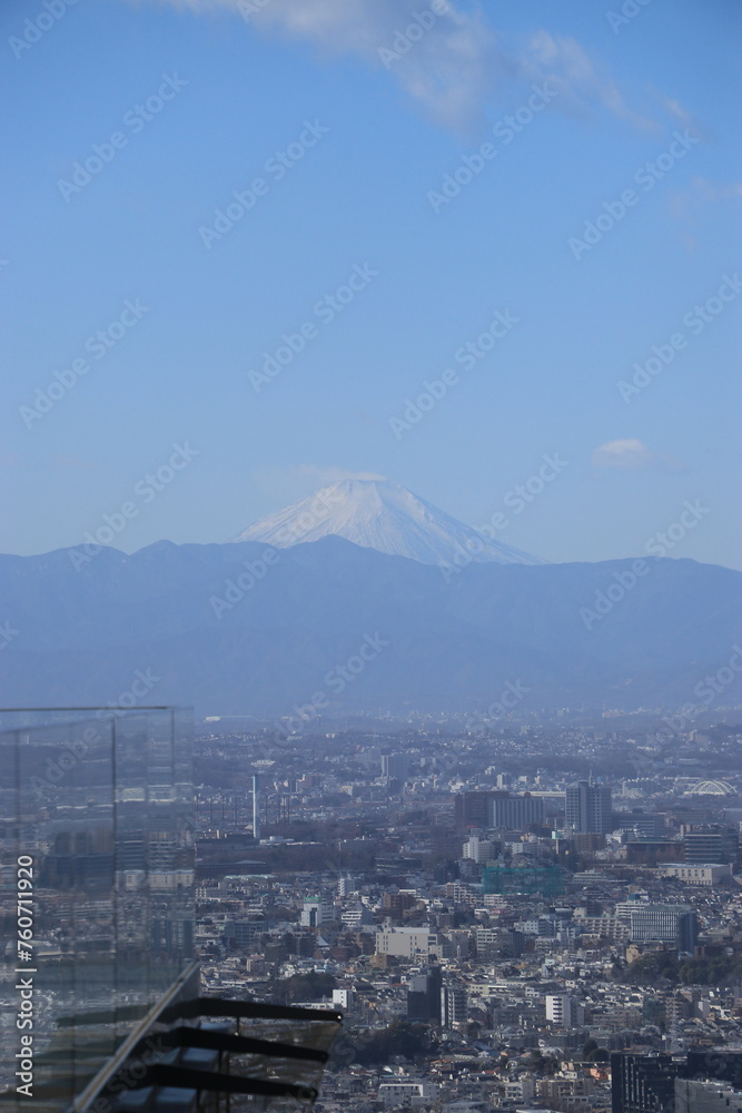 Mount Fuji with Tokyo in the foreground