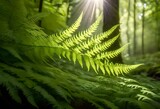 A delicate fern frond unfurling in a lush forest, bathed in soft sunlight filtering through the canopy above