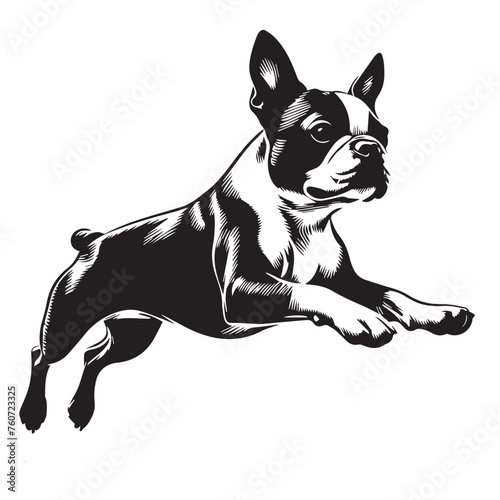 Boston Terrier dog Silhouettes, Boston Terrier dog sitting pose silhouettes, Boston Terrier dog Standing and jumping silhouettes, cute dog on white background, Boston Terrier