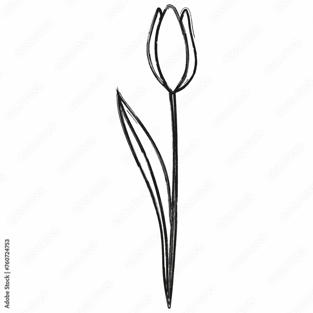 Tulip flower spring holiday decoration. Tulip flower spring holiday decoration.
