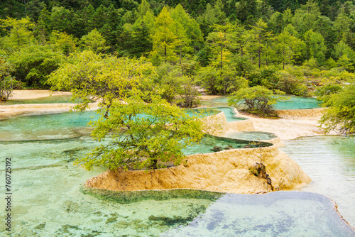 Huanglong colorful pond and spruce trees in Sichuan, China photo