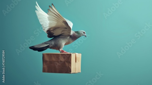 Pigeon flying in the air and carrying a cardboard box on blue background