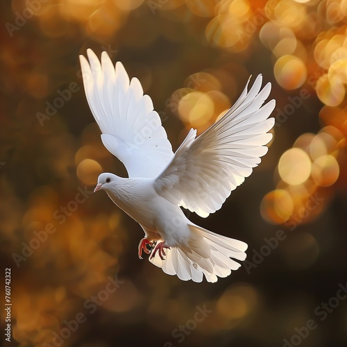 White dove flying in the air with bokeh background, close up