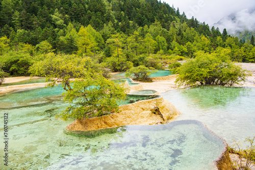 Huanglong colorful pond and spruce trees in Sichuan, China photo