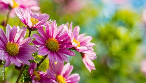 spring flowers on blurred background postcard banner © Wayne