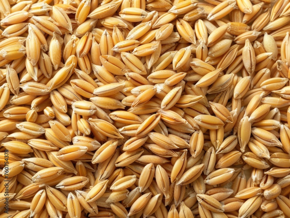 close-up details of wheat or barley, with a focus on the golden hues and textures of the grain, evoking a sense of agriculture and harvest close-up details of wheat or barley, with a focus on the golden hues and textures of the grain, evoking a sense of agriculture and harvest