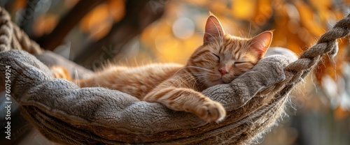A contented ginger cat lounging in a hammock strung between two trees, with a gentle breeze rustling the leaves 
