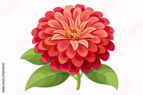 Zinnia flower  flat style  vector illustration artwork