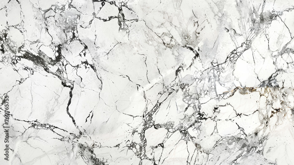 Detailed texture of high-quality white marble with intricate black and gold veining. Natural stone background for luxury design elements and construction materials.