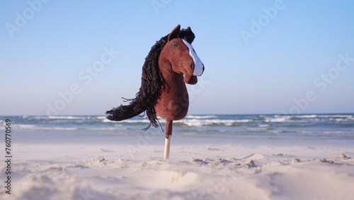 Funny Hobby Horse Kids Toy Standing in Seashore Beach Sand on Windy Day photo