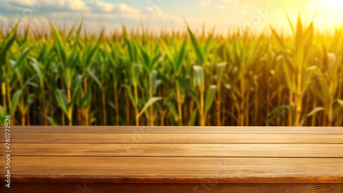 Wooden table with blurred corn field background (ID: 760772528)