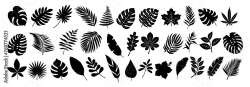 Set of black silhouettes of tropical leaves palms, trees. Vector