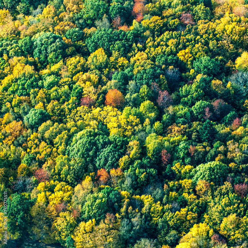 vue aérienne de forêt à l'automne en France vue aérienne de forêt à l'automne en France