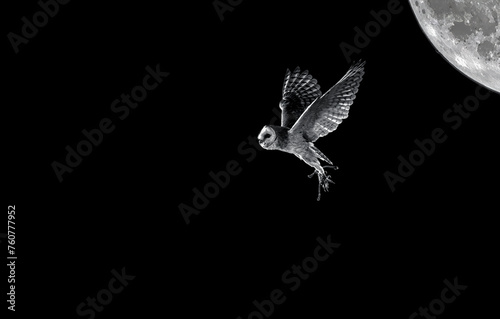 imagen de una lechuza volando con el fondo negro