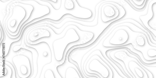 Abstract geometric layered curve line white background. 3d white papercut topography relief. Cover layout template. paper cut topography soft background banner texture. light liquid wave illustration. © Marco