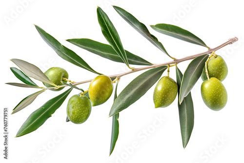Wallpaper Mural Close up an olive branch with leaves and a few shiny green olives isolated on white background Torontodigital.ca