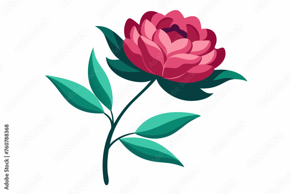 Peony flower with stem and dark green leaves, vector art illustration