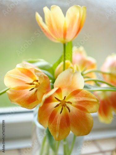bouquet de tulipes
