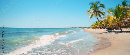beach with palm trees © vardan