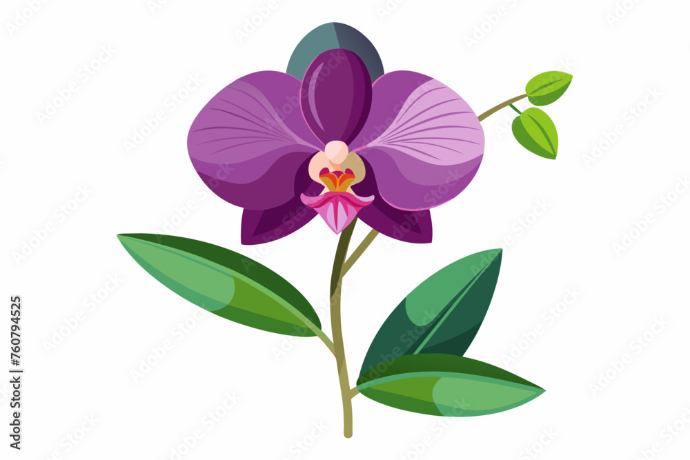  Orchid flower with stem and dark green leaves, vector art illustration