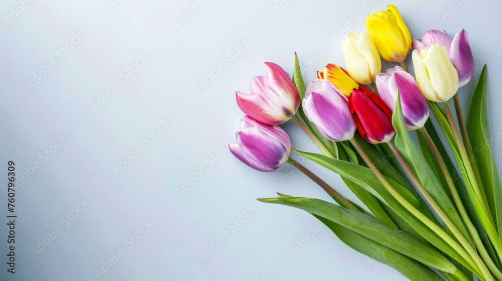 Fototapeta premium Bouquet of Tulips