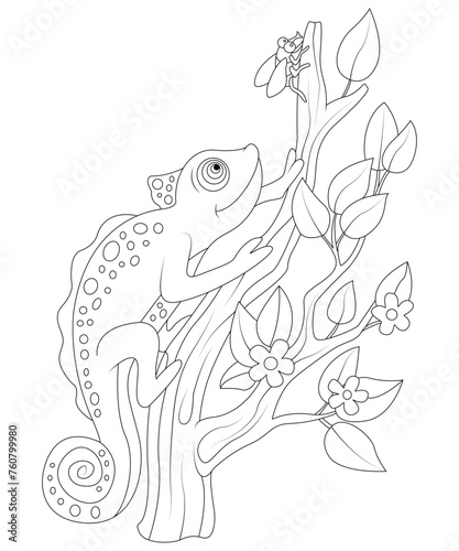 Chameleon coloring page for kids and adults. chameleon coloring book page for children. 