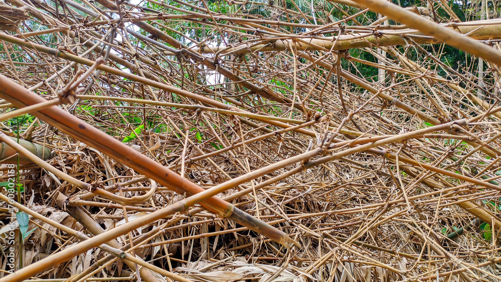 A pile of old dry branches and bamboo sticks in indonesian