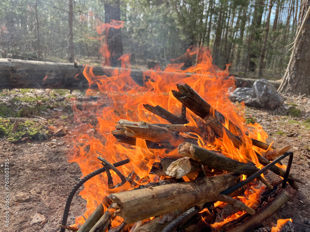 a barbecue campfire is built in the forest a barbecue campfire is built in the forest
