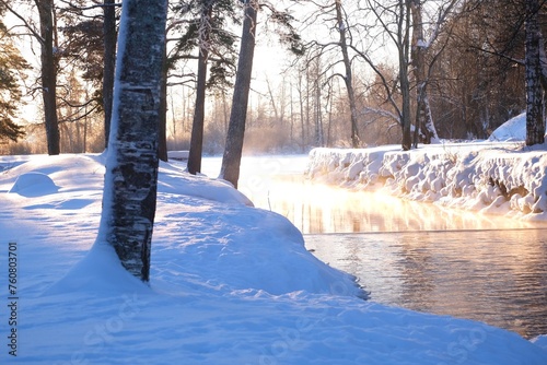 Winter frosty sunny landscape with river and ducks