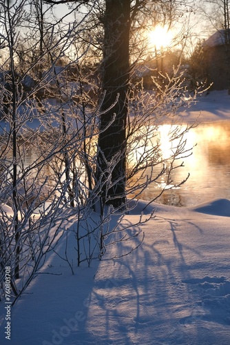 Winter frosty sunny landscape