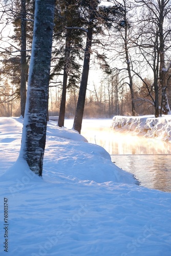 Winter frosty sunny landscape with river and ducks