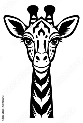 Forward Facing Giraffe Face Lineart Illustration