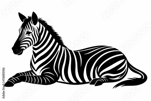 silhouette of zebra laying in profile on white b 