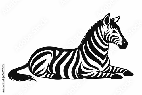 Fototapeta Naklejka Na Ścianę i Meble -  silhouette of zebra laying in profile on white b 