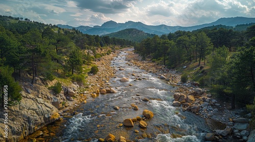 River Flowing Through Lush Green Forest