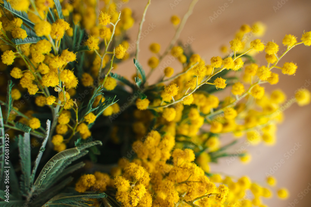 A spring bouquet of flowers with yellow mimosa flowers in the home interior. International Women's Day or birthday. A spring bouquet of flowers with yellow mimosa flowers in the home interior. International Women's Day or birthday.